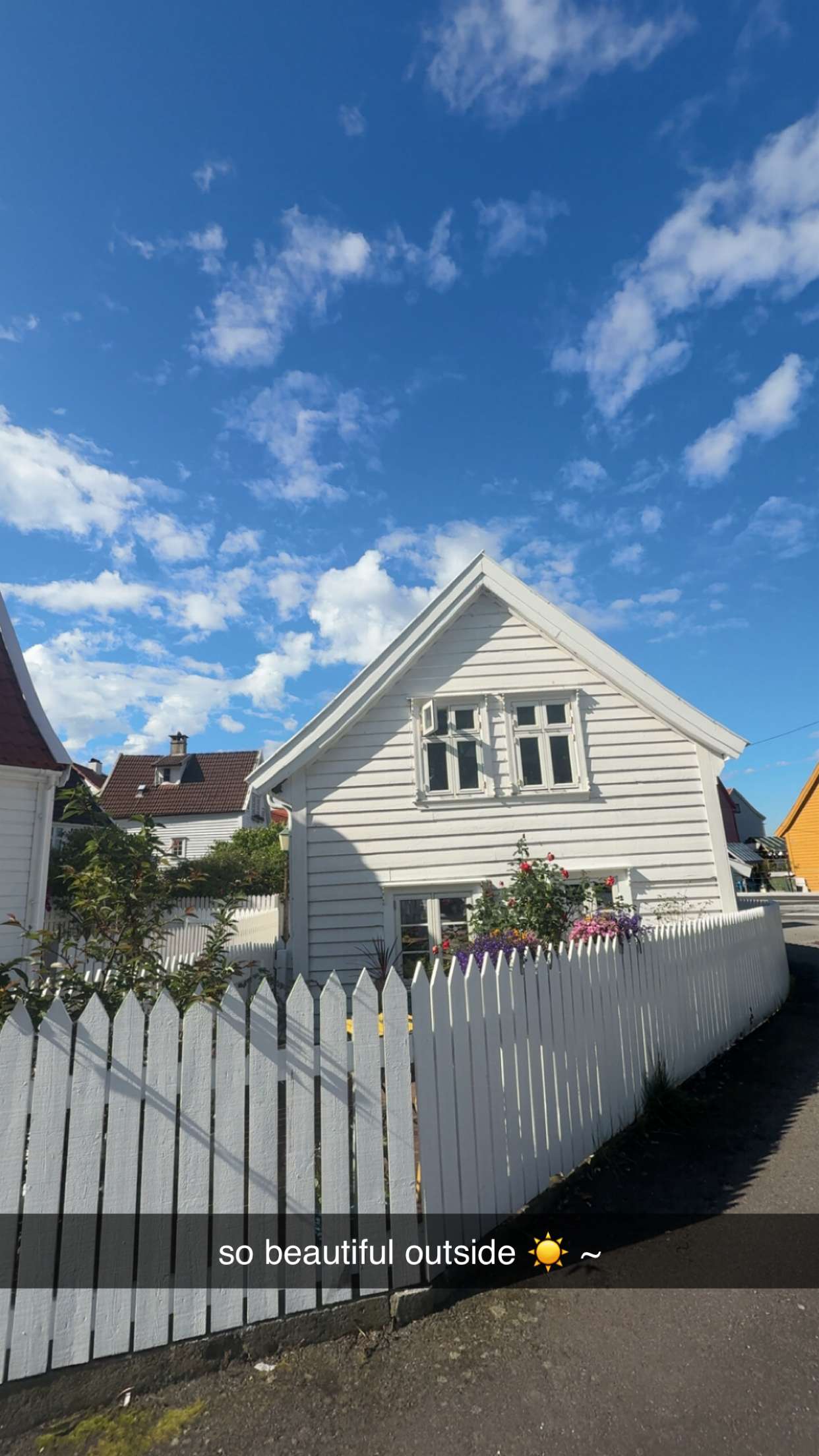 xeliabunny snapchat image archive image