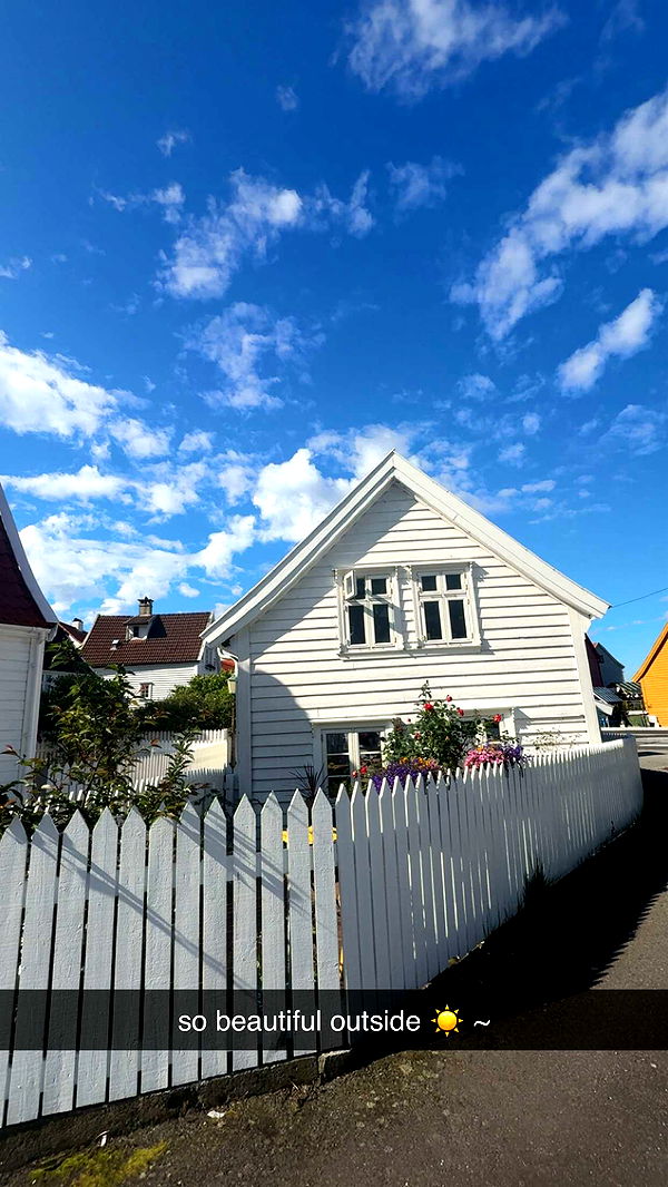 xeliabunny image ~ Altpins