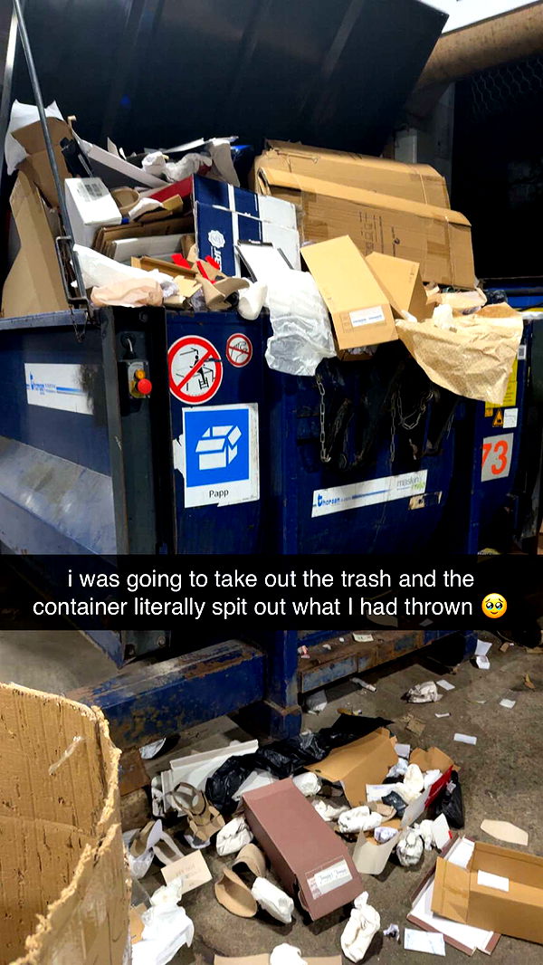 xeliabunny image ~ Altpins