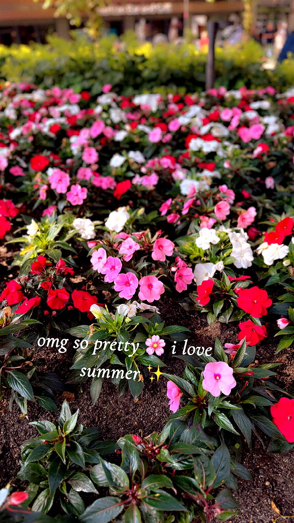 xeliabunny image ~ Altpins