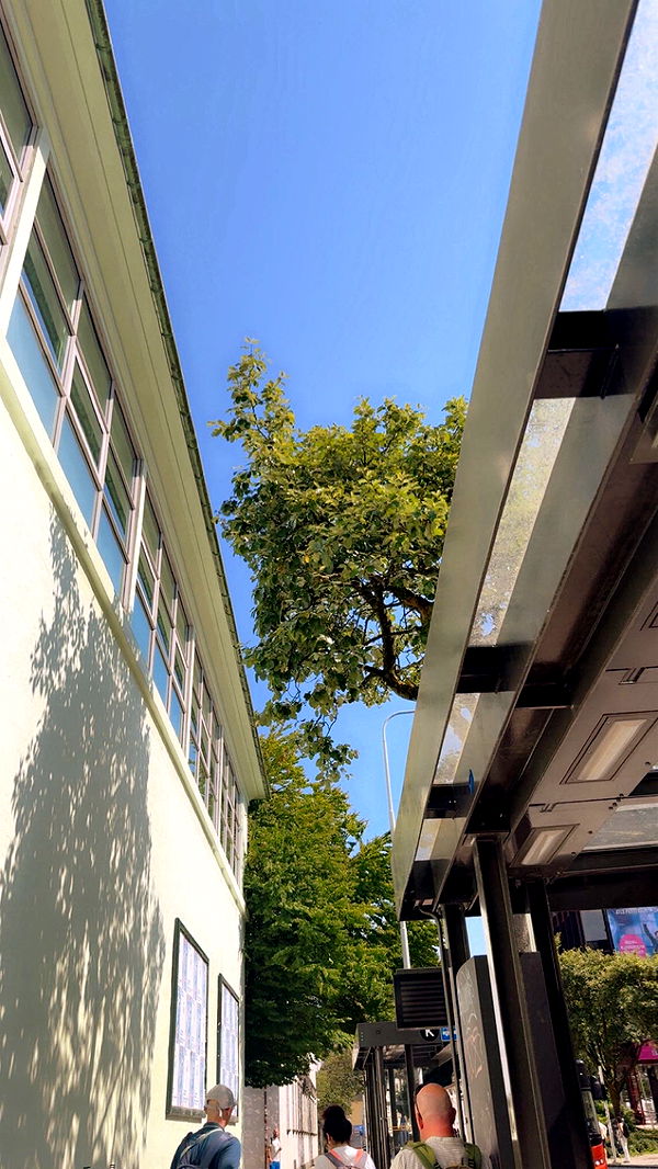 xeliabunny image ~ Altpins