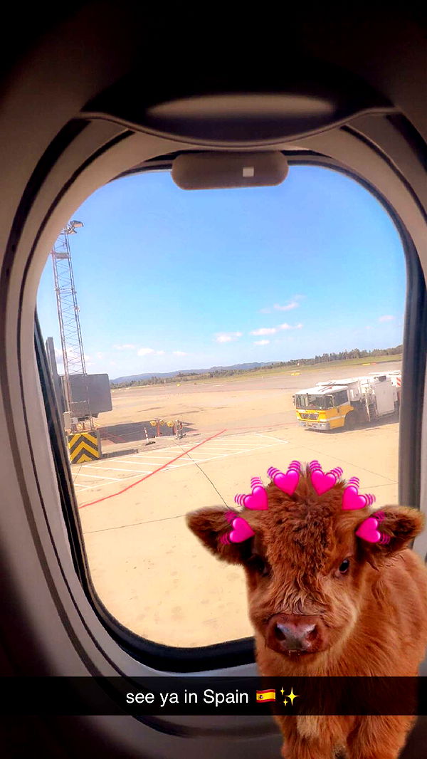 xeliabunny image ~ Altpins