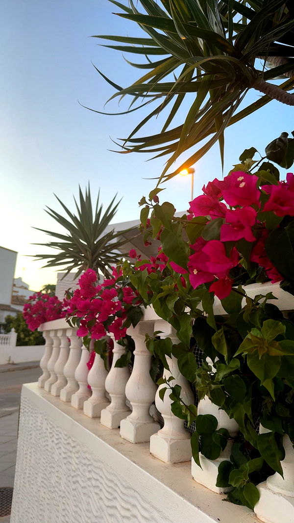 xeliabunny image ~ Altpins