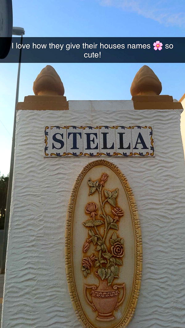 xeliabunny image ~ Altpins