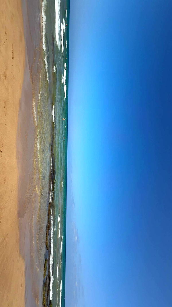 xeliabunny image ~ Altpins