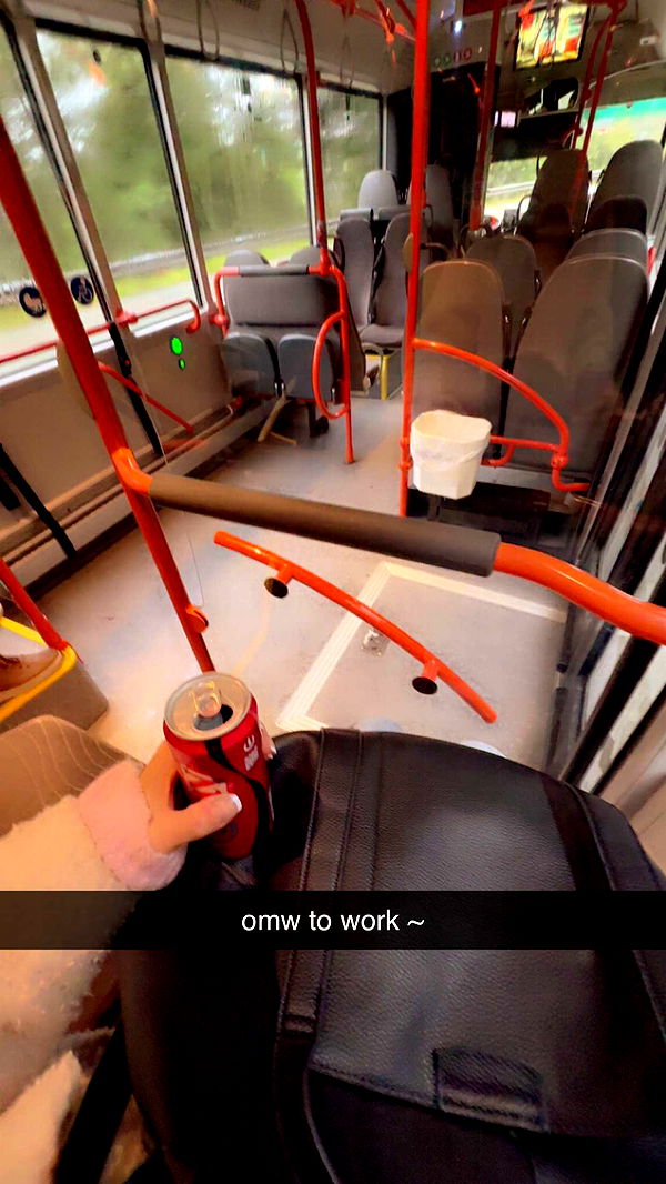 xeliabunny image ~ Altpins