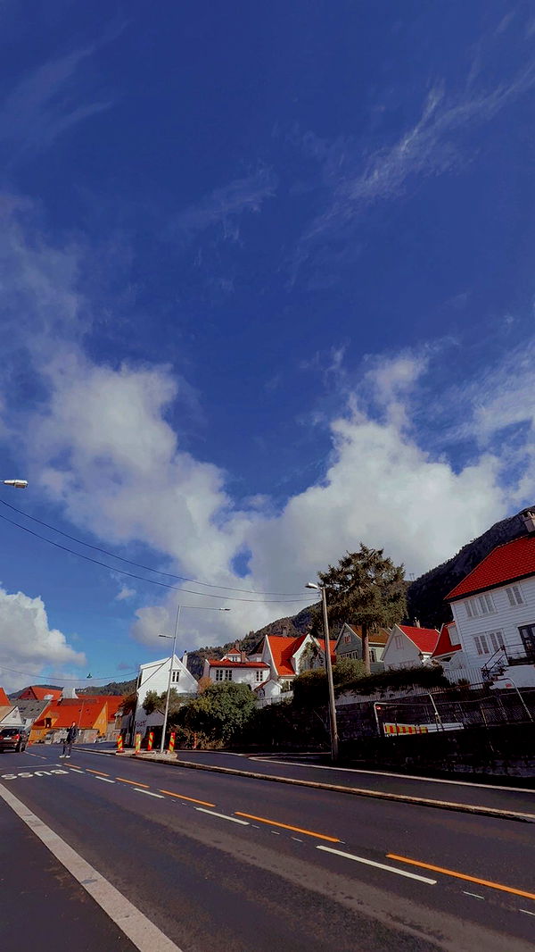 xeliabunny image ~ Altpins