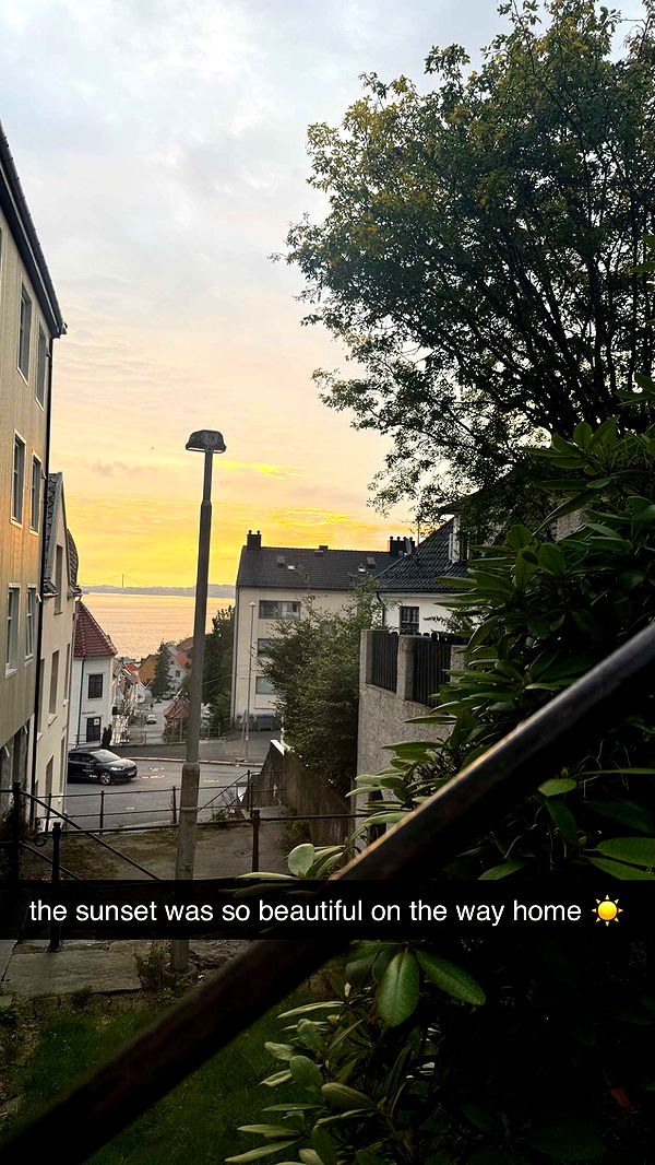 xeliabunny image ~ Altpins