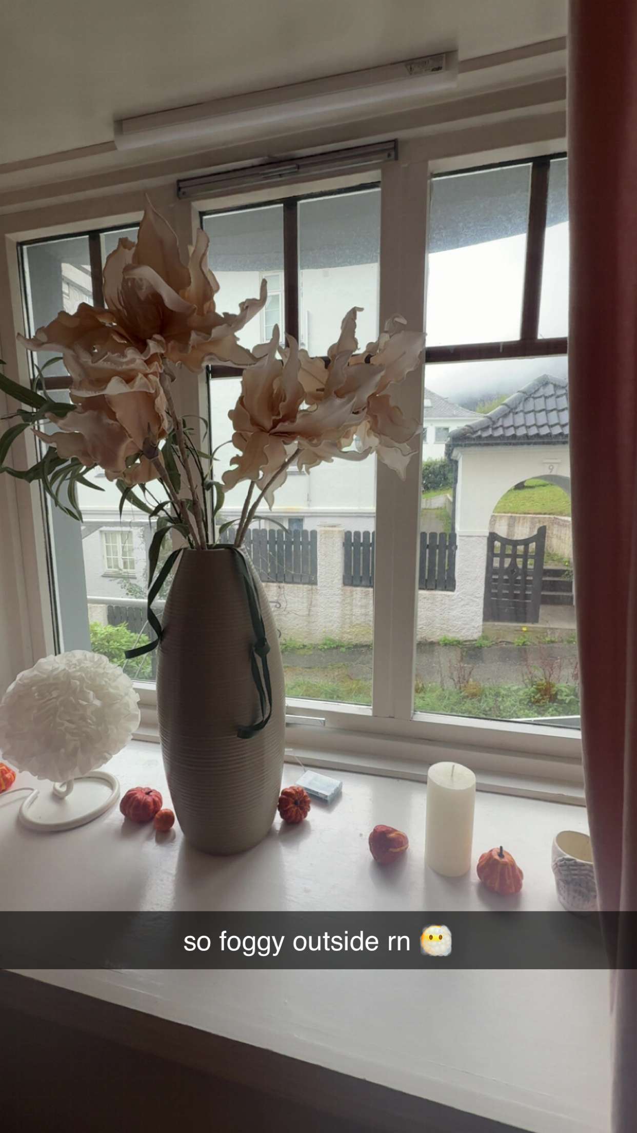 xeliabunny snapchat image archive image