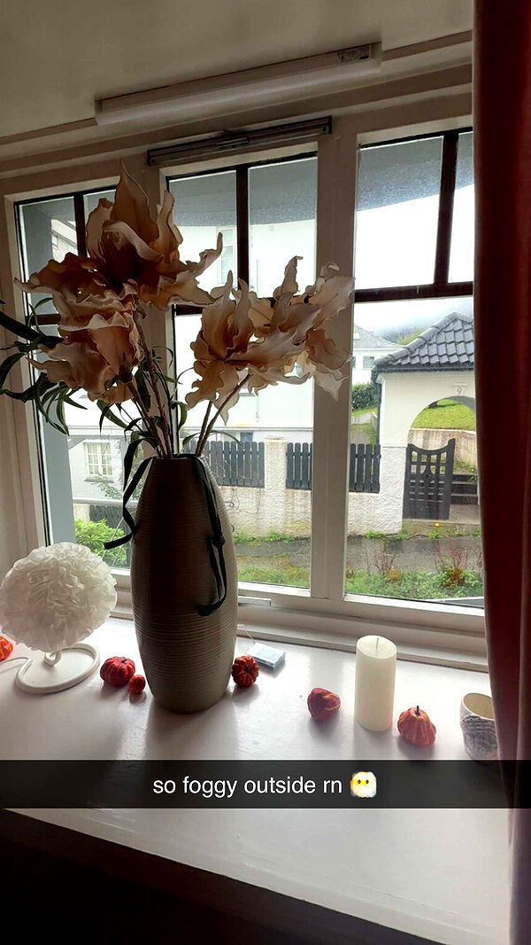 xeliabunny image ~ Altpins