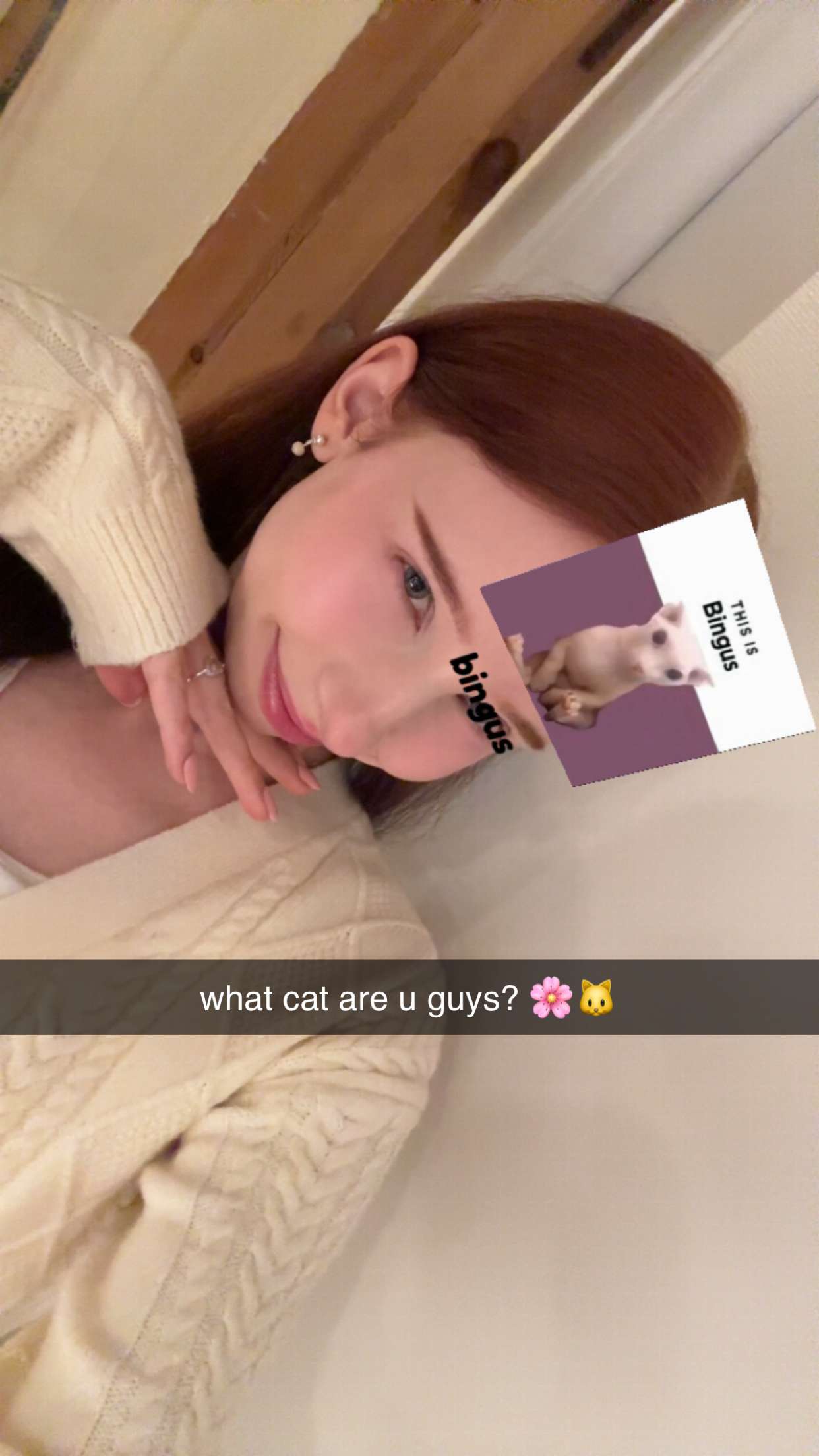 xeliabunny snapchat image archive image