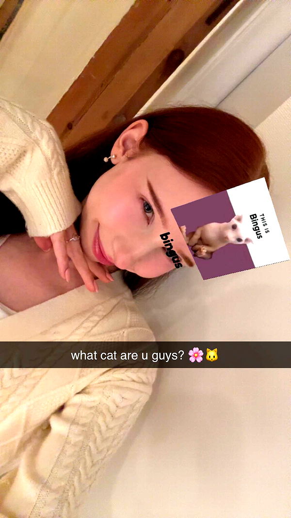 xeliabunny image ~ Altpins