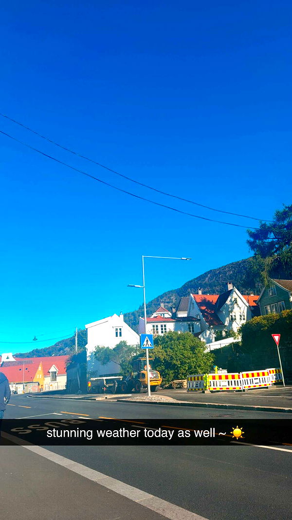 xeliabunny image ~ Altpins