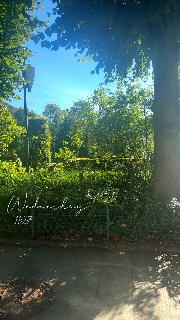 xeliabunny image ~ Altpins