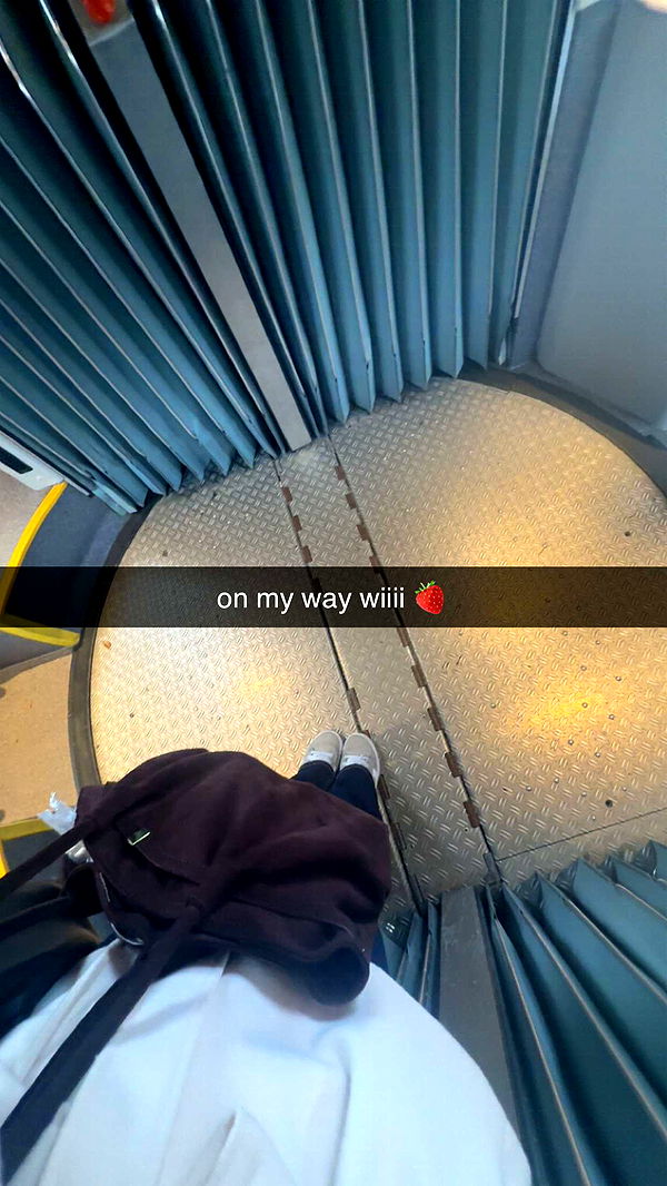 xeliabunny image ~ Altpins