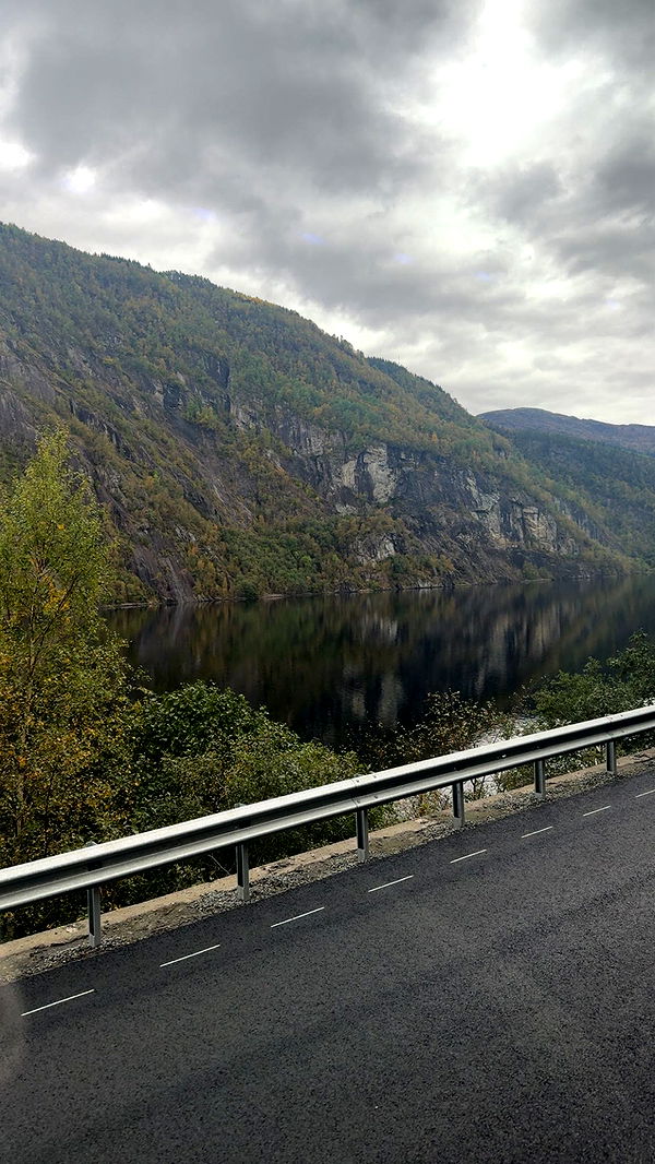 xeliabunny image ~ Altpins