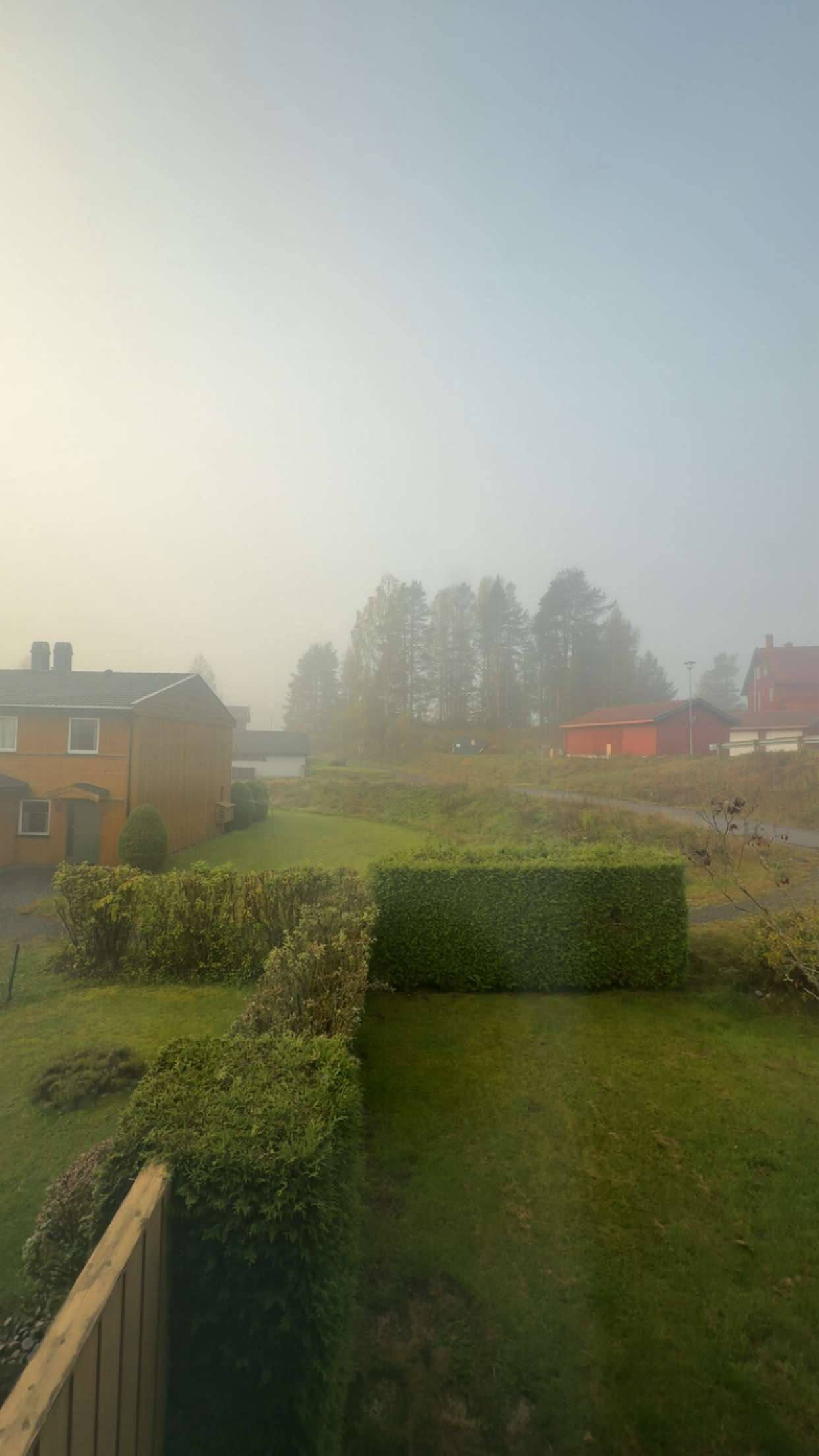 xeliabunny snapchat image archive image