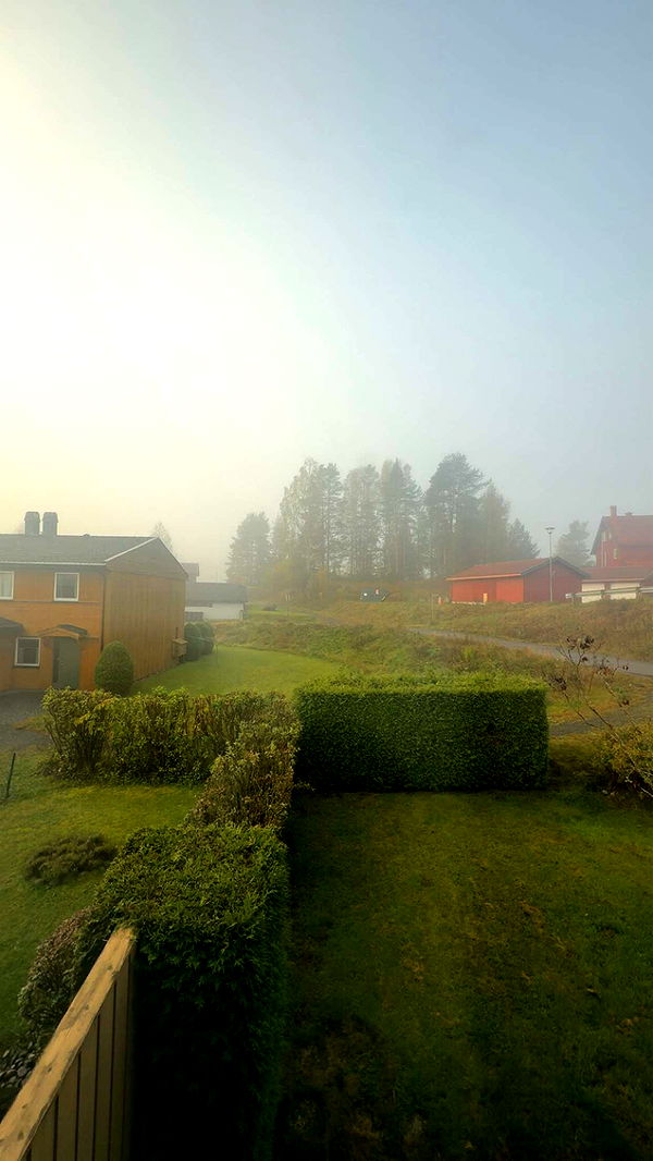 xeliabunny image ~ Altpins