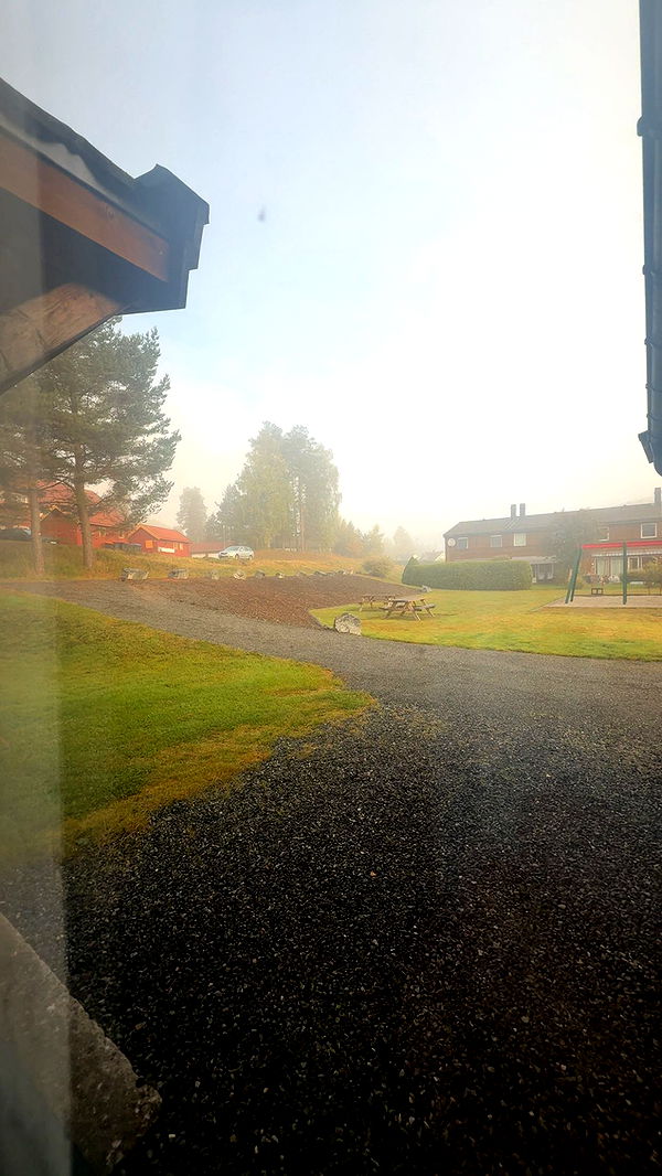 xeliabunny image ~ Altpins