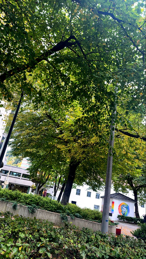 xeliabunny image ~ Altpins