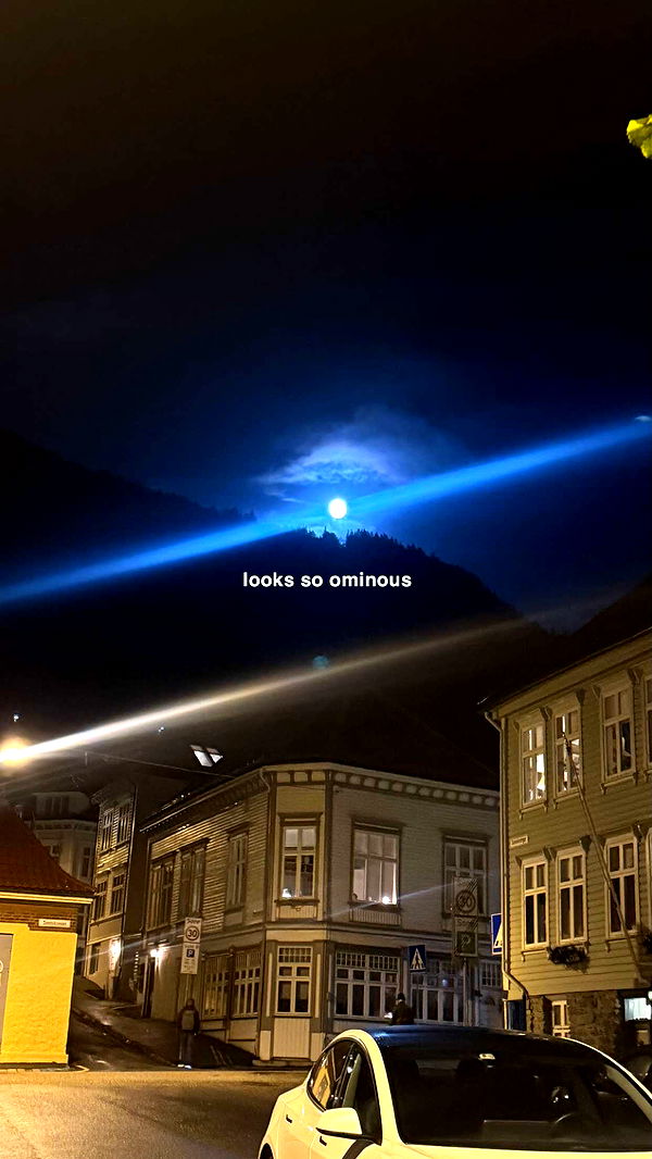 xeliabunny image ~ Altpins