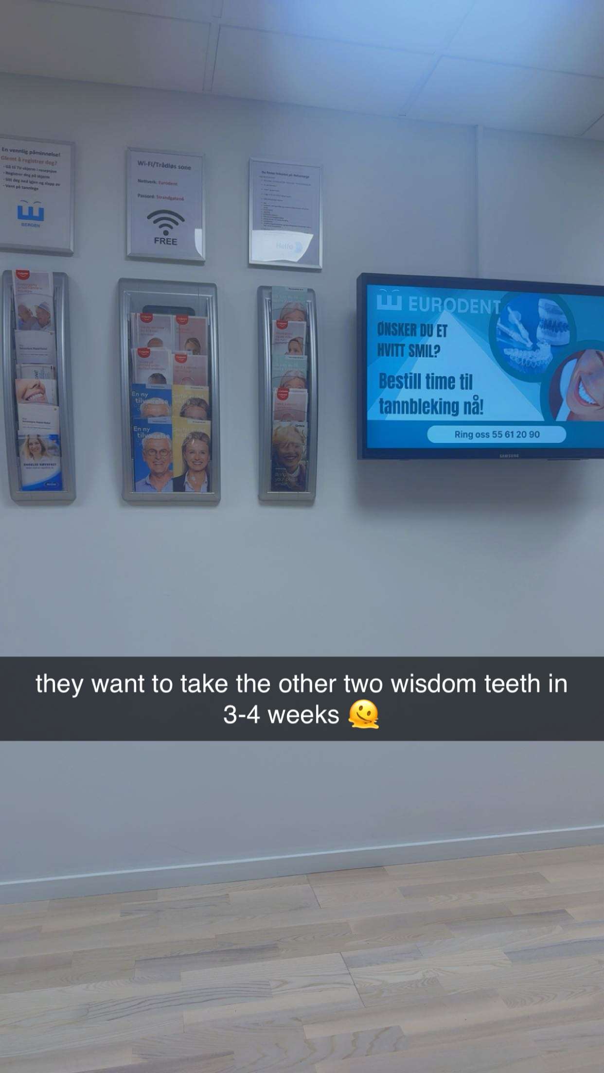 xeliabunny snapchat image archive image