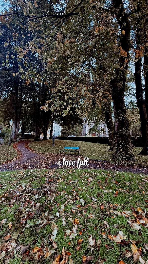 xeliabunny image ~ Altpins