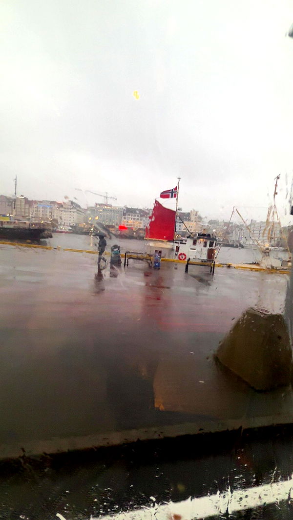 xeliabunny image ~ Altpins