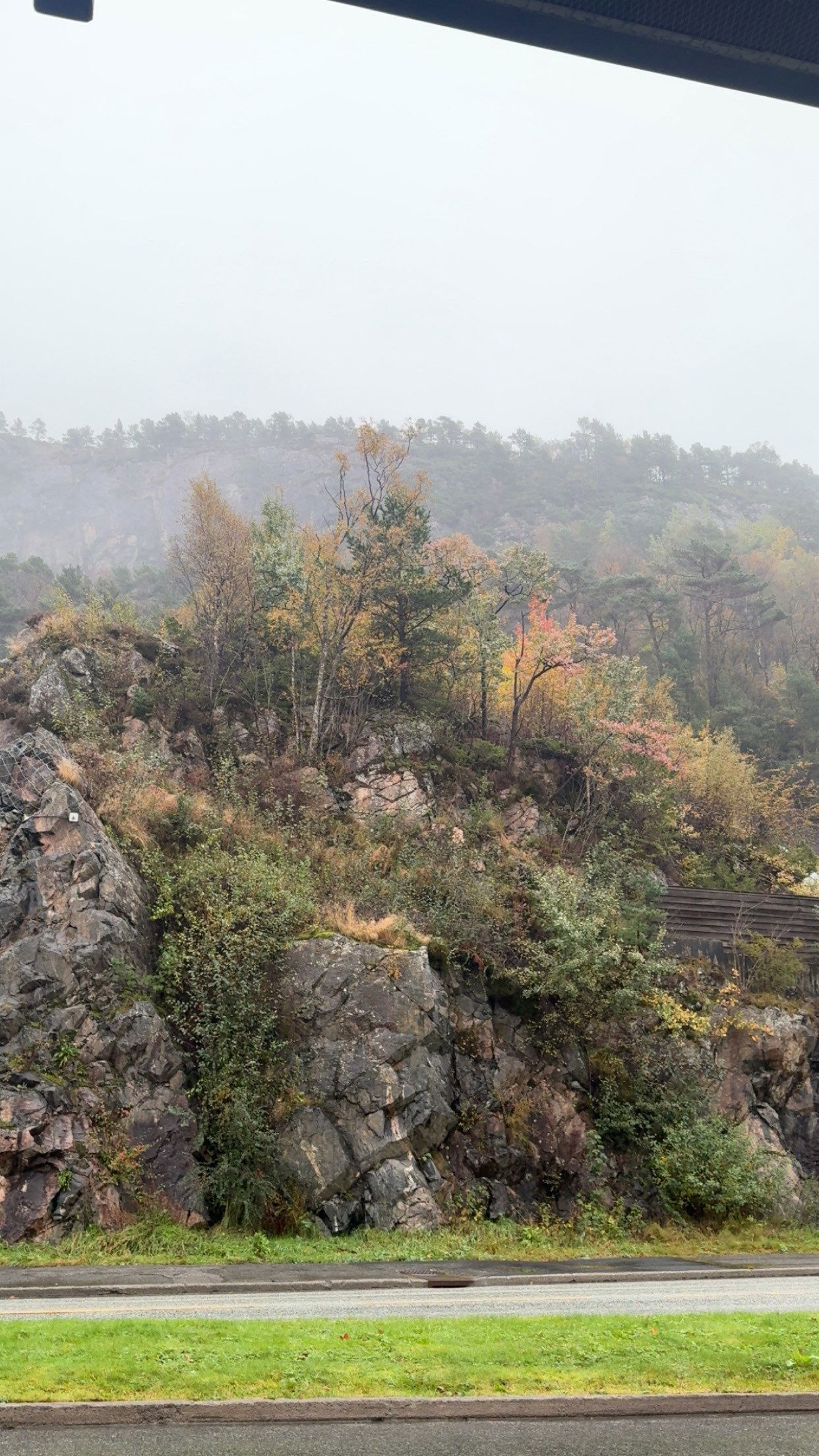 xeliabunny snapchat image archive image