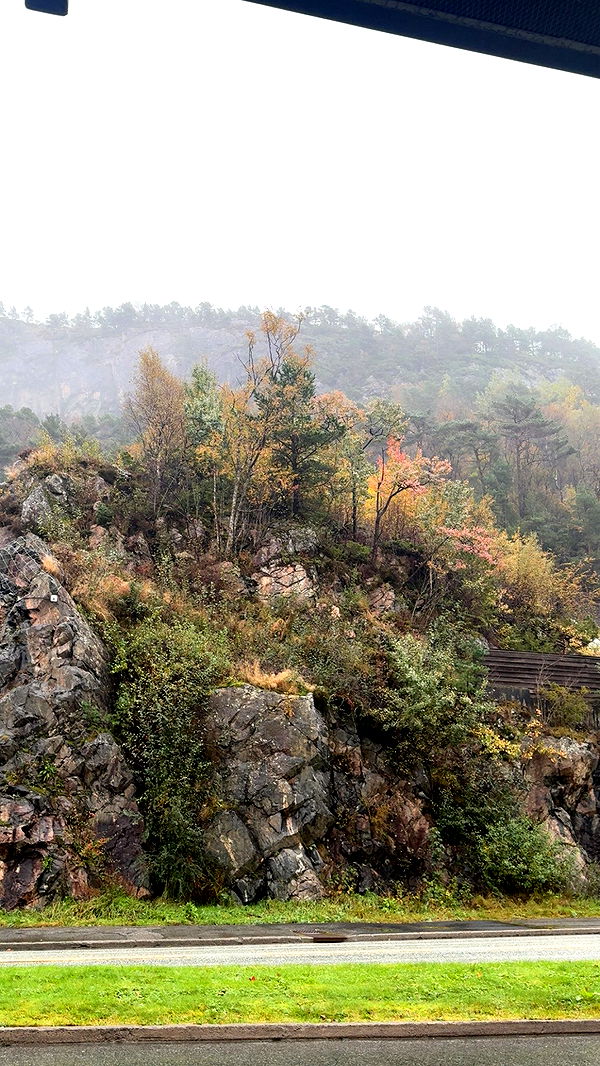 xeliabunny image ~ Altpins