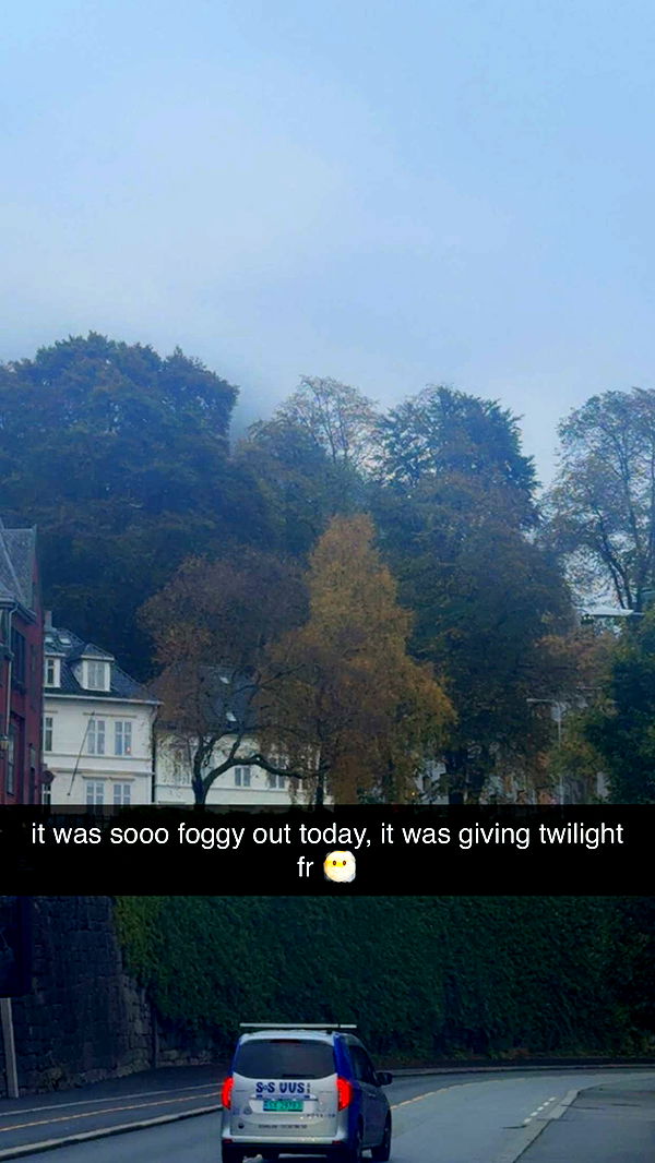 xeliabunny image ~ Altpins