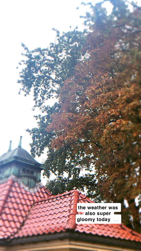 xeliabunny image ~ Altpins