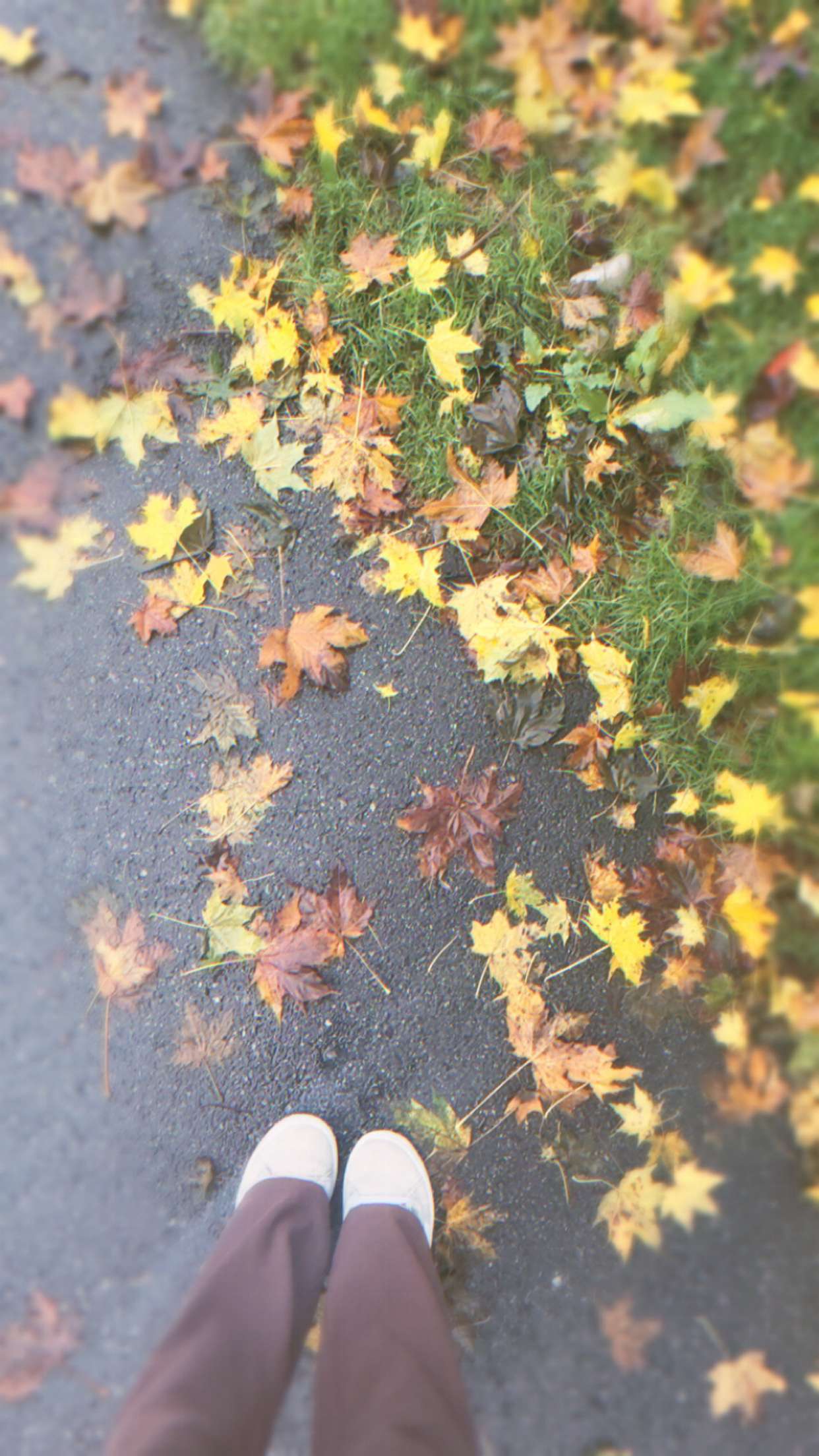 xeliabunny snapchat image archive image