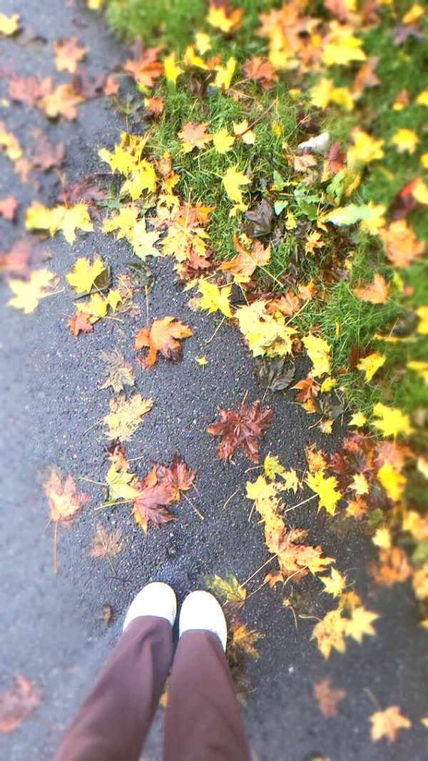 xeliabunny image ~ Altpins