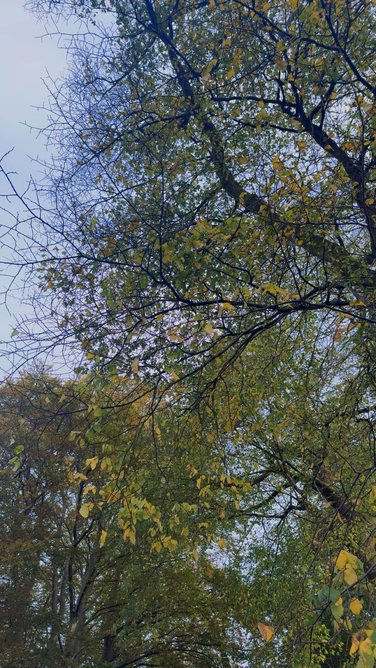 xeliabunny snapchat image archive image