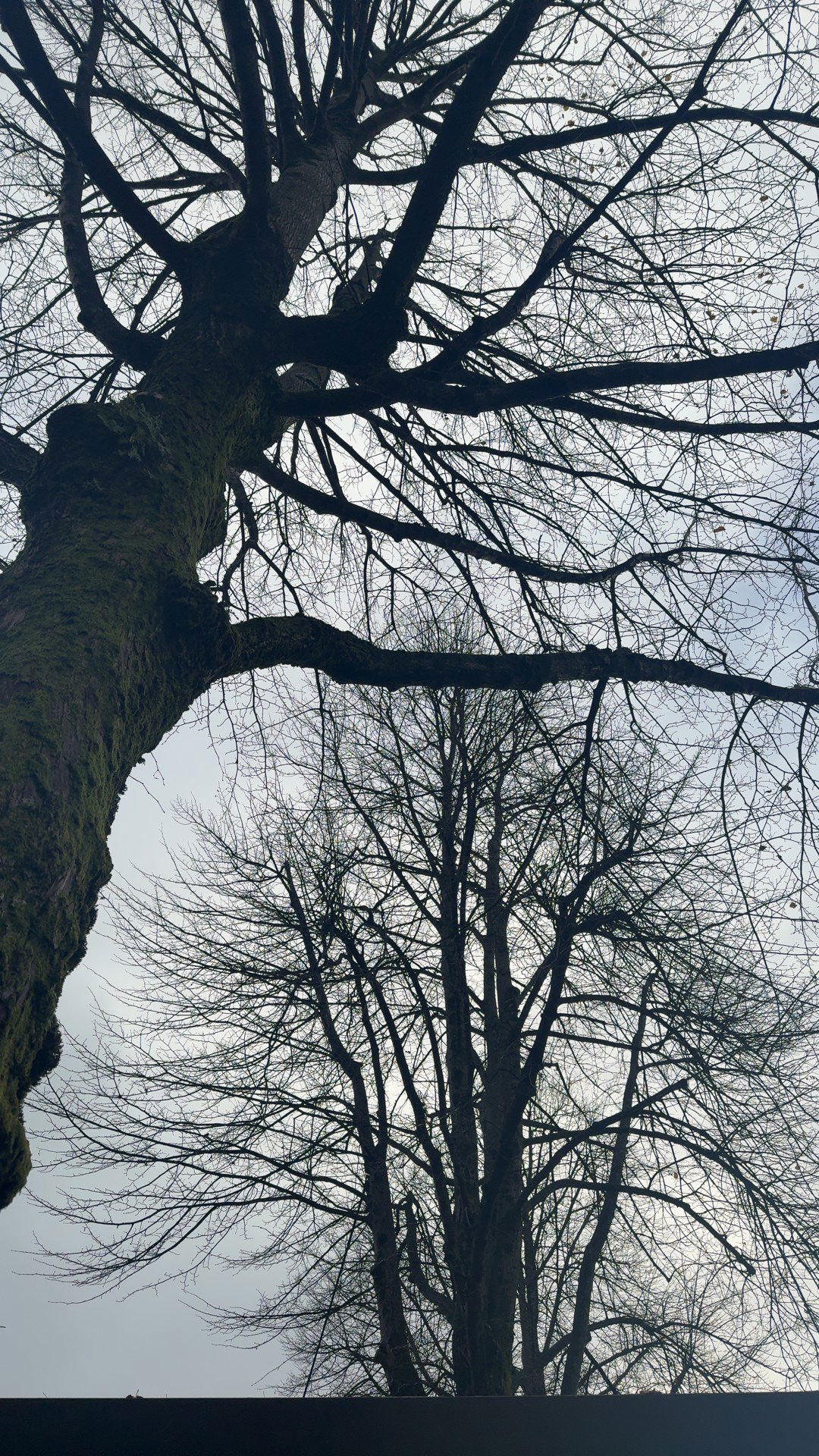 xeliabunny snapchat image archive image