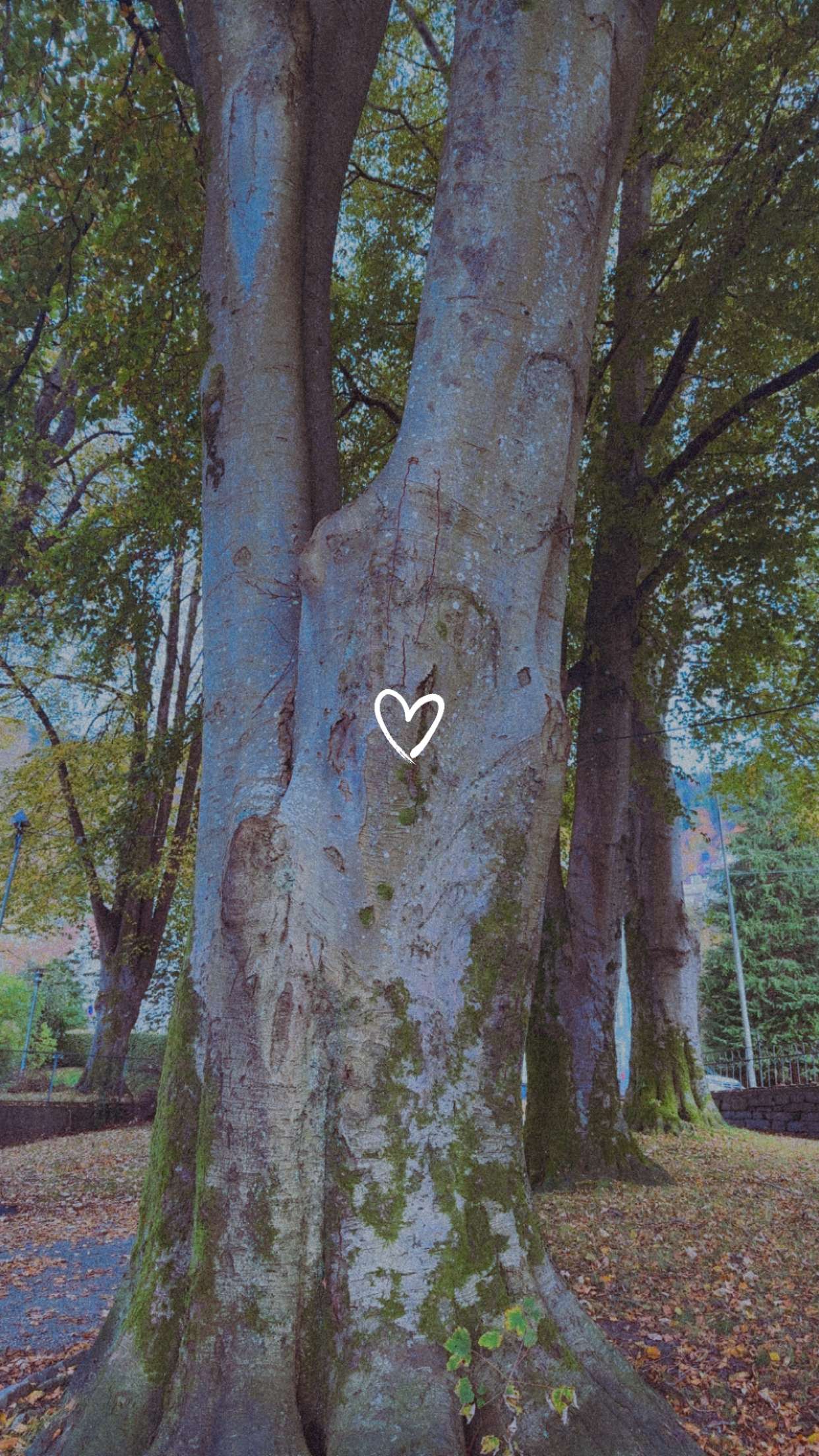 xeliabunny snapchat image archive image