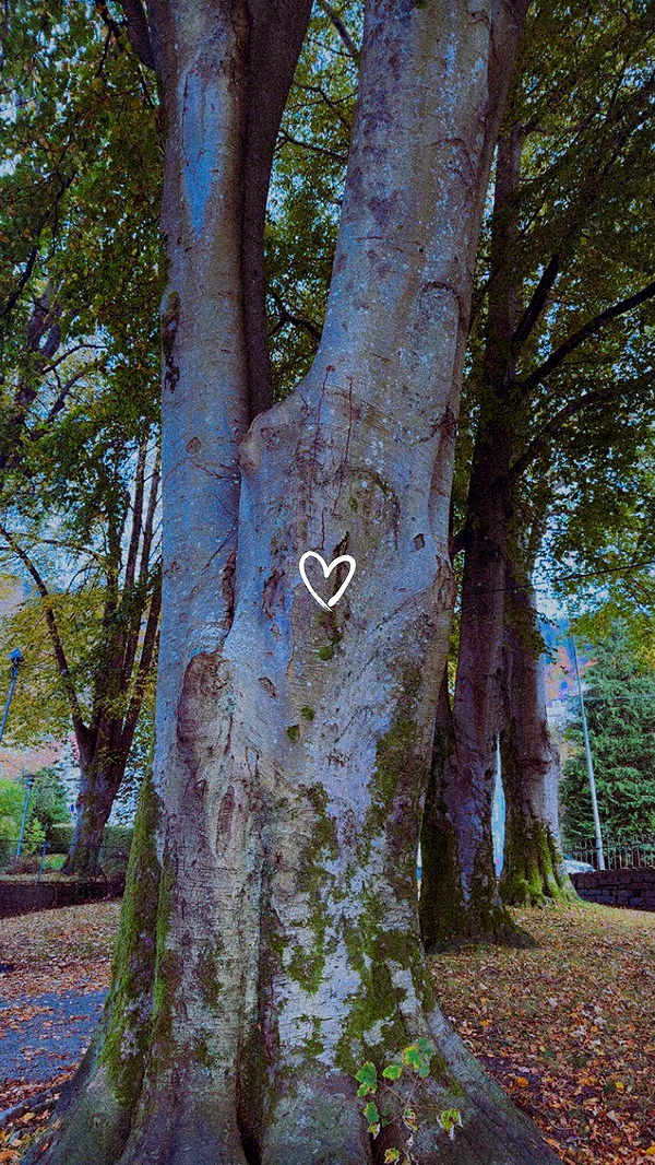 xeliabunny image ~ Altpins