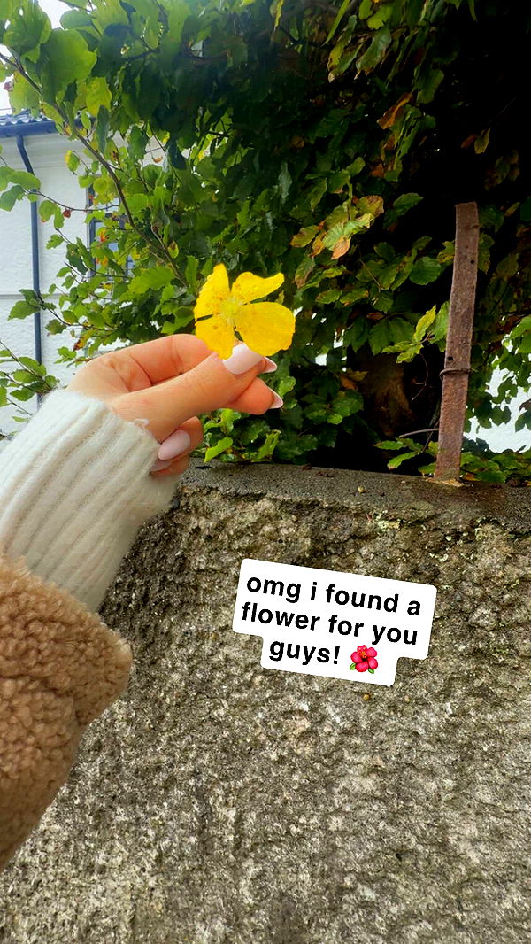 xeliabunny image ~ Altpins