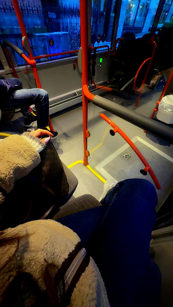 xeliabunny image ~ Altpins