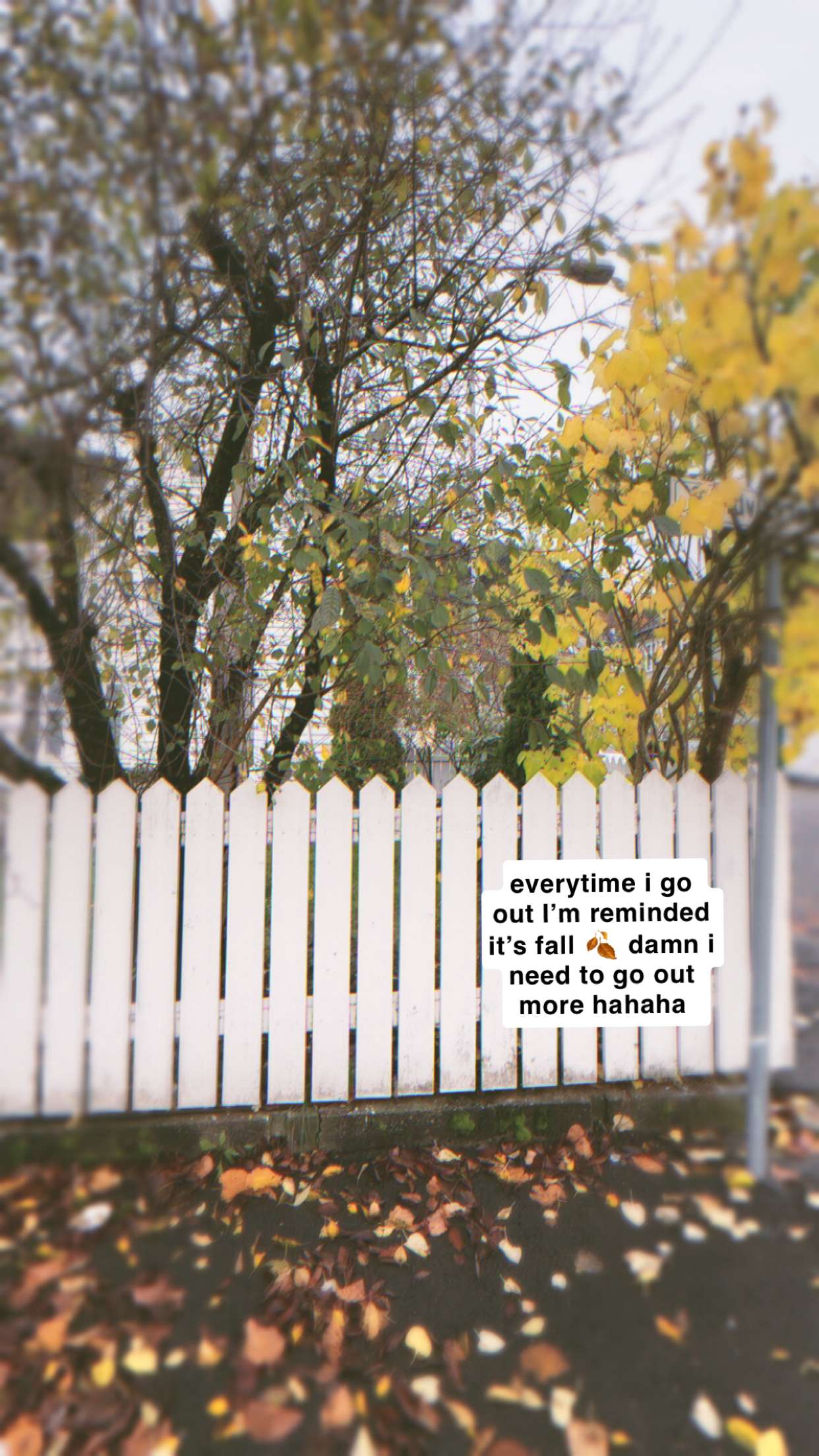 xeliabunny snapchat image archive image