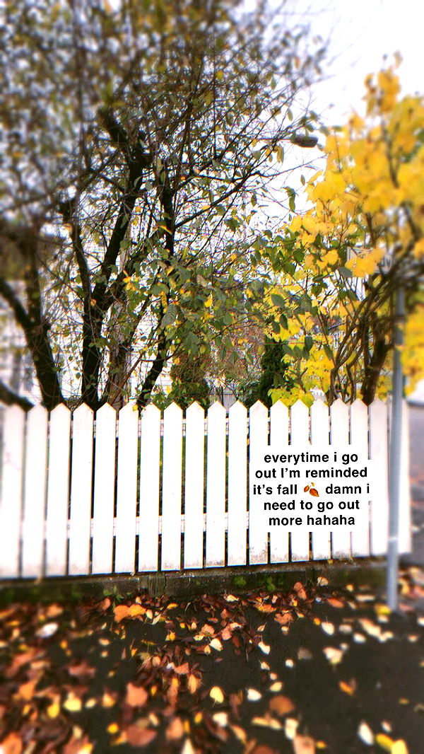 xeliabunny image ~ Altpins