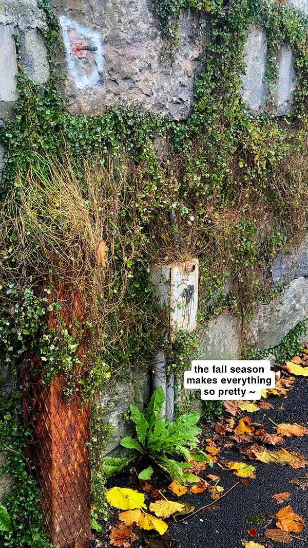 xeliabunny image ~ Altpins