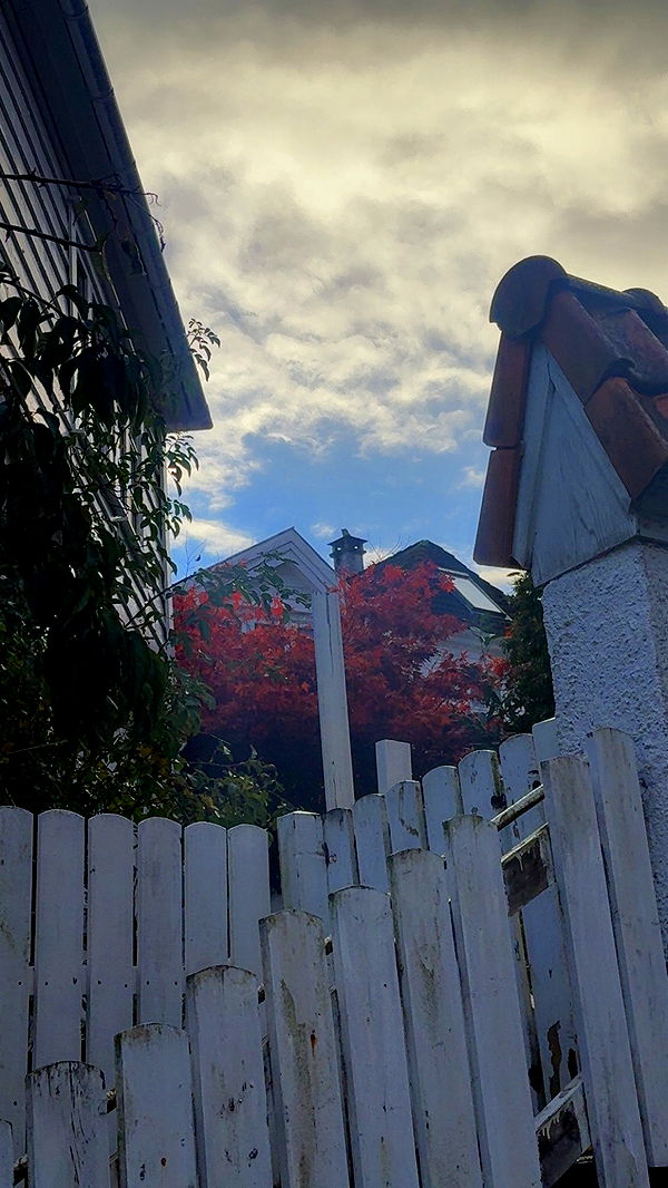 xeliabunny image ~ Altpins