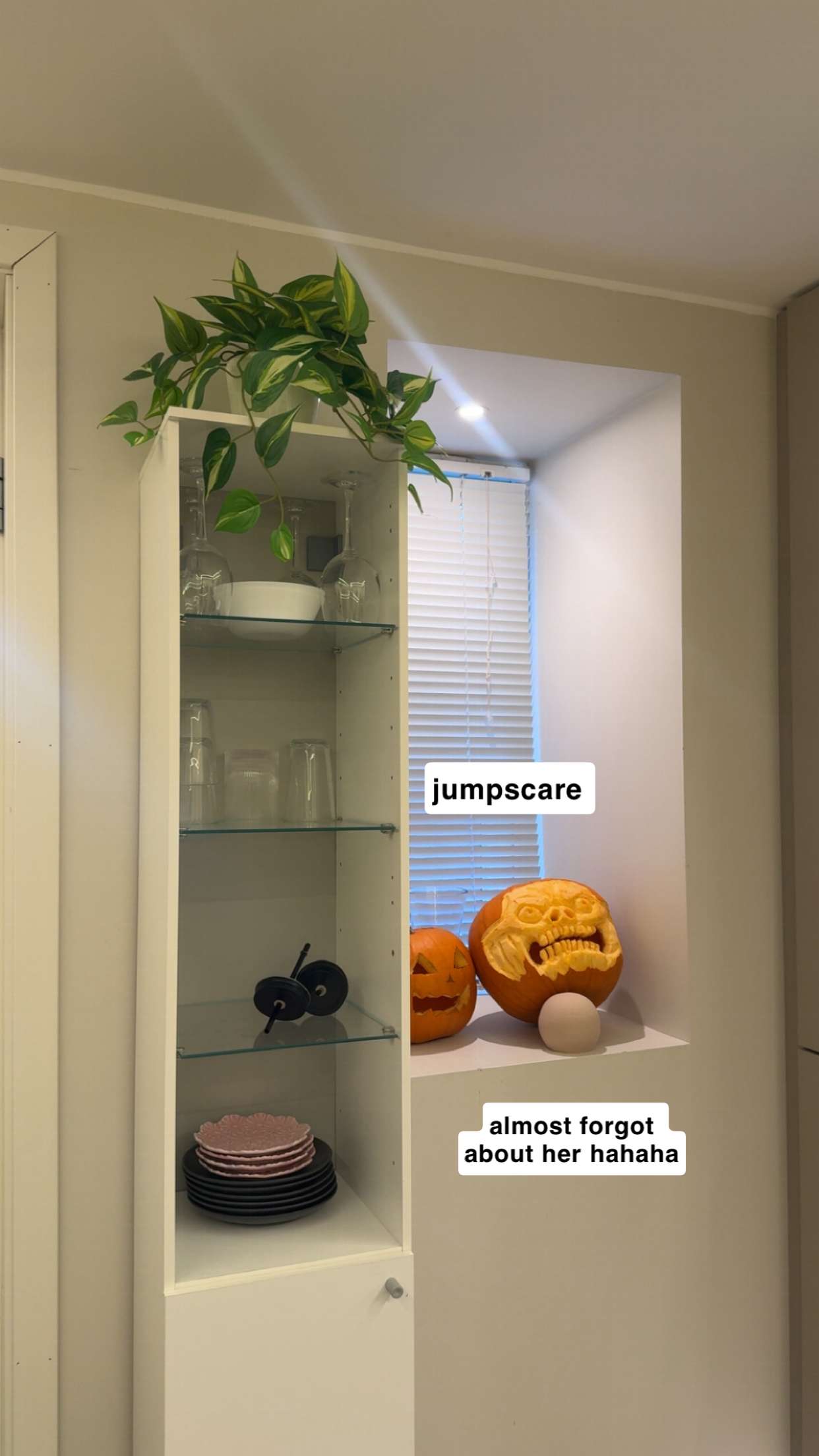 xeliabunny snapchat image archive image