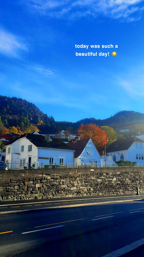 xeliabunny image ~ Altpins