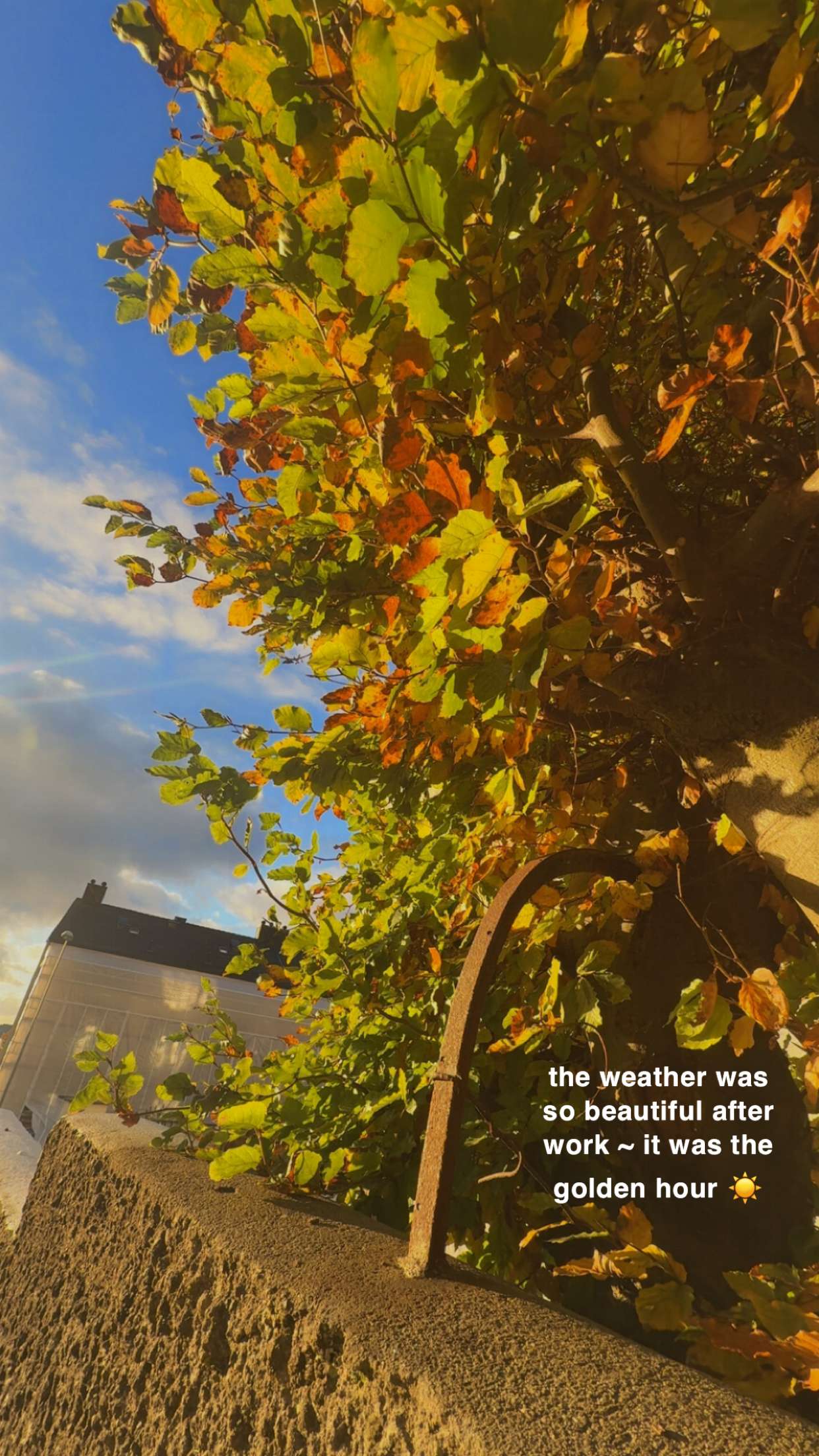 xeliabunny snapchat image archive image