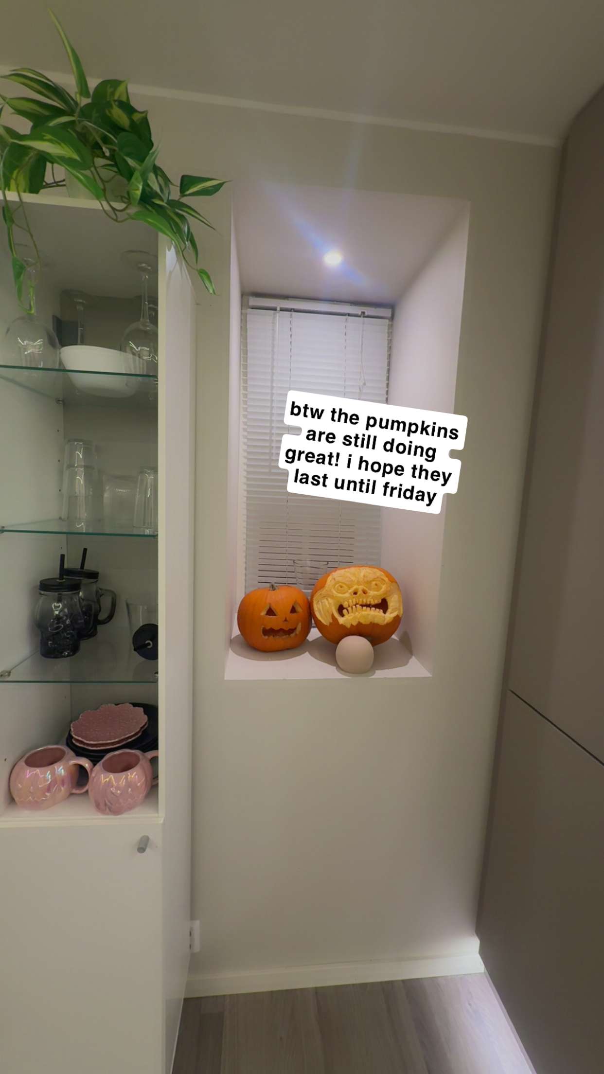 xeliabunny snapchat image archive image