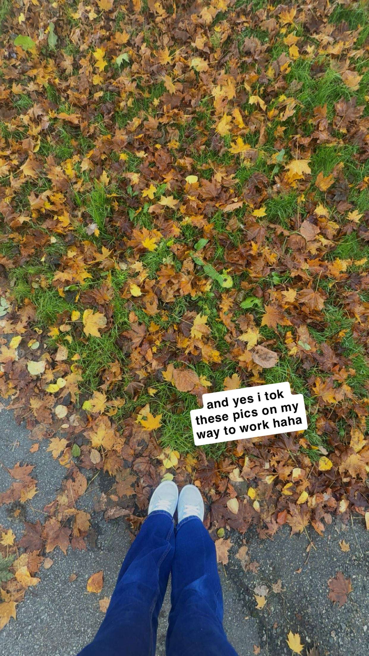 xeliabunny snapchat image archive image