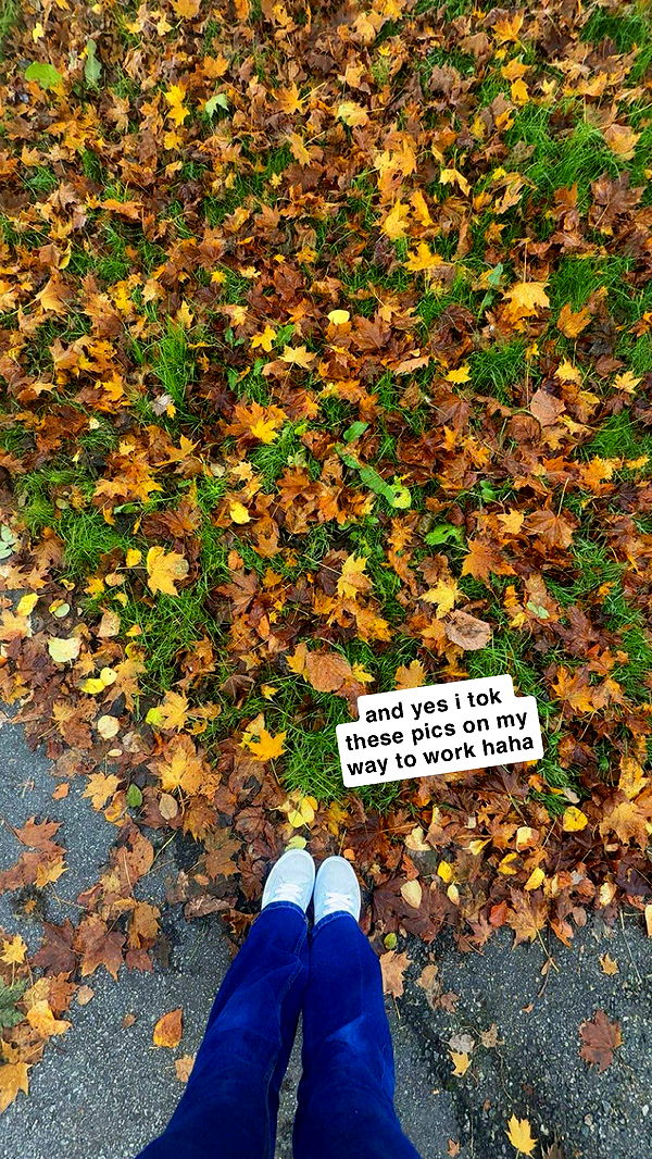 xeliabunny image ~ Altpins